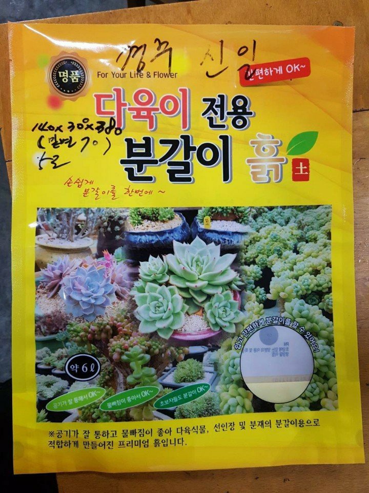 갤러리 사진